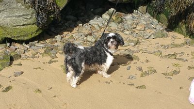 20161001_123411.jpg (4.99 MiB) Viewed 554 times 20161001_123411.jpg