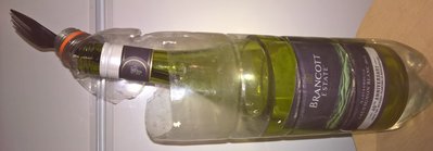 WP_20160329_19_25_11_Pro.jpg