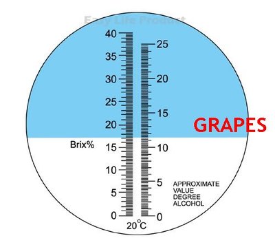 refractometer scale - grapes.jpg