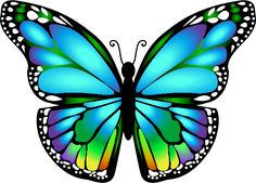 05df15f1b3635d0d4f7d5290d1511e6c--butterfly-art-monarch-butterfly.jpg